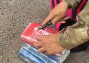 mae-e-presa-com-3-kg-de-cocaina-em-onibus-na-br-060,-em-goiania