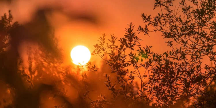 goiania-tera-terca-feira-(05)-de-sol,-calor-e-baixa-umidade