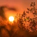goiania-tera-terca-feira-(05)-de-sol,-calor-e-baixa-umidade