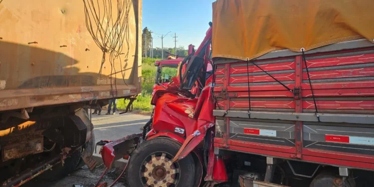 colisao-entre-caminhoes-mata-duas-pessoas-na-br-153,-em-aparecida-de-goiania
