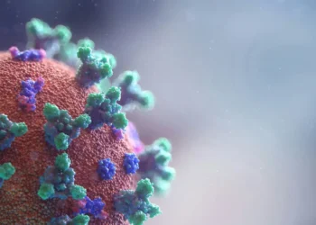 oms-confirma-5-dos-8-casos-suspeitos-de-hantavirus-em-cruzeiro