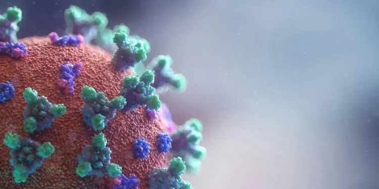 oms-confirma-5-dos-8-casos-suspeitos-de-hantavirus-em-cruzeiro