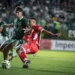 goias-x-vila-nova:-escalacoes,-horario-e-onde-assistir