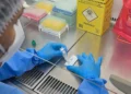 minas-gerais-confirma-primeira-morte-por-hantavirus-em-2026;-entenda-os-riscos-da-doenca