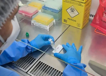 minas-gerais-confirma-primeira-morte-por-hantavirus-em-2026;-entenda-os-riscos-da-doenca