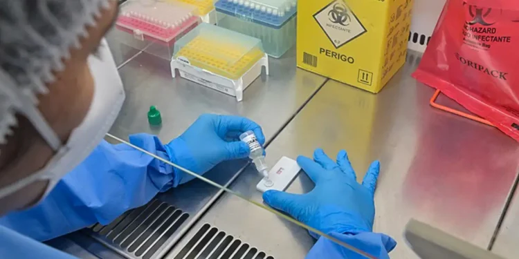 minas-gerais-confirma-primeira-morte-por-hantavirus-em-2026;-entenda-os-riscos-da-doenca