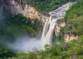 turismo-impulsiona-servicos-em-goias-e-estado-registra-uma-das-maiores-altas-do-pais