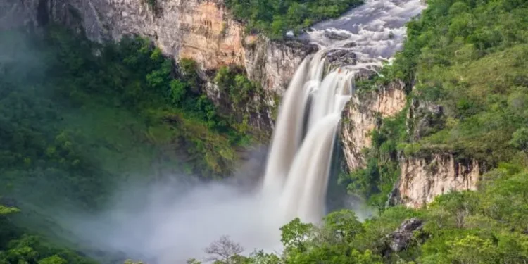 turismo-impulsiona-servicos-em-goias-e-estado-registra-uma-das-maiores-altas-do-pais