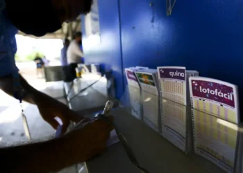 lotofacil-3686-tem-tres-ganhadores-do-premio-principal;-goias-registra-17-apostas-com-14-acertos