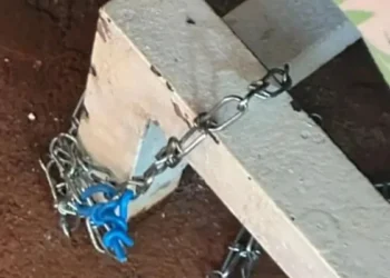 mae-e-presa-suspeita-de-torturar-e-manter-filho-acamado-em-condicoes-desumanas-em-rio-verde