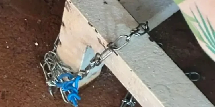 mae-e-presa-suspeita-de-torturar-e-manter-filho-acamado-em-condicoes-desumanas-em-rio-verde