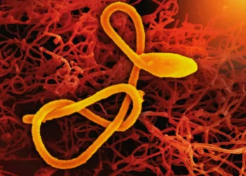 apos-cerca-de-80-mortes-por-ebola,-oms-declara-emergencia-global