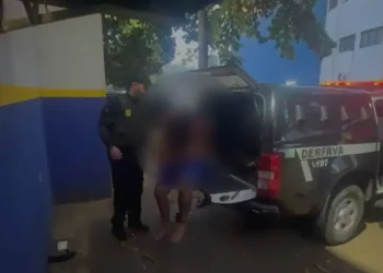policia-civil-desmonta-esquema-de-furtos-de-veiculos-ligado-ao-trafico-de-drogas-em-goiania