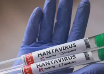 eua-registra-primeira-morte-por-hantavirus-apos-repercussao-de-casos-em-cruzeiro