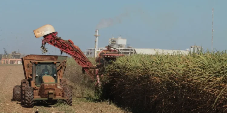 goias-bate-recorde-e-assume-2o-lugar-nacional-na-producao-de-cana-de-acucar