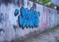 projetos-de-mabel-contra-pichacoes-e-lixo-irregular-ampliam-debate-sobre-ocupacao-urbana