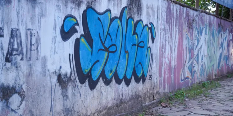 projetos-de-mabel-contra-pichacoes-e-lixo-irregular-ampliam-debate-sobre-ocupacao-urbana