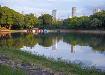 corte-de-arvores-no-lago-das-rosas-em-goiania-provoca-embate-entre-moradores-e-paco