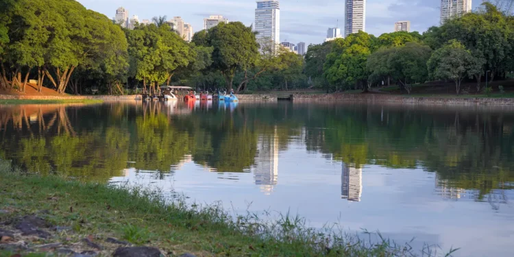 corte-de-arvores-no-lago-das-rosas-em-goiania-provoca-embate-entre-moradores-e-paco