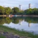 corte-de-arvores-no-lago-das-rosas-em-goiania-provoca-embate-entre-moradores-e-paco