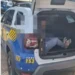 menino-de-dois-anos-morre-apos-sofrer-agressoes;-pai-e-detido-em-aparecida-de-goiania
