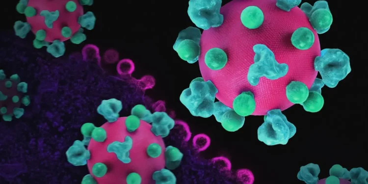 surto-de-hantavirus-em-cruzeiro-tem-novo-caso-confirmado-pela-oms