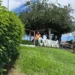 comurg-afasta-16-servidores-apos-decisao-judicial-em-goiania