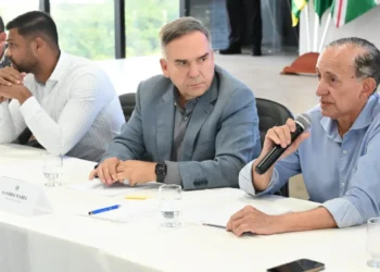 mabel-apoiara-vereadores-da-base-na-disputa-pela-alego