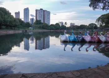 mp-go-obtem-liminar-que-suspende-corte-de-arvores-no-lago-das-rosas-em-goiania