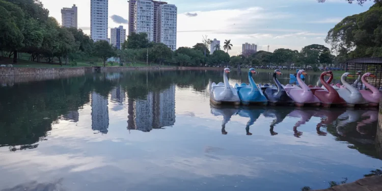 mp-go-obtem-liminar-que-suspende-corte-de-arvores-no-lago-das-rosas-em-goiania