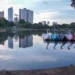 mp-go-obtem-liminar-que-suspende-corte-de-arvores-no-lago-das-rosas-em-goiania