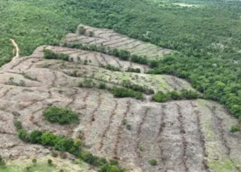 desmatamento-em-goias-cai-44%-com-dialogo,-tecnologia-e-preservacao