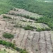 desmatamento-em-goias-cai-44%-com-dialogo,-tecnologia-e-preservacao