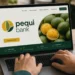 pequi-bank-abre-debate-sobre-inclusao-financeira-e-acesso-ao-credito-em-goias