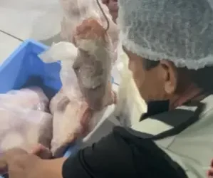 carnes-vencidas-e-ferrugem:-procon-autua-supermercado-em-goiania