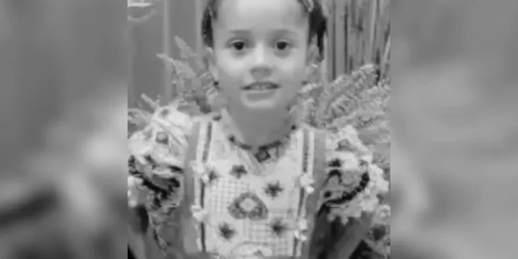 menina-morre-baleada-na-zona-rural-de-mg-e-policia-apura-como-arma-chegou-as-criancas