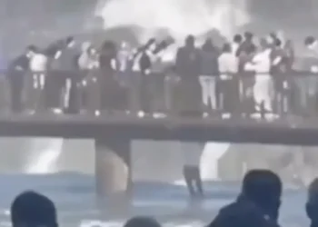 turista-pula-em-area-restrita-das-cataratas-do-iguacu-para-recuperar-celular;-veja-video