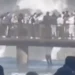 turista-pula-em-area-restrita-das-cataratas-do-iguacu-para-recuperar-celular;-veja-video