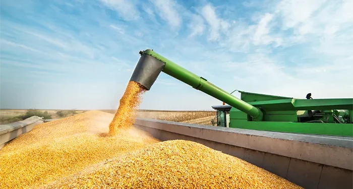 senado-aprova-projeto-que-usa-fundo-do-pre-sal-para-renegociar-dividas-do-agro