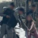 video-mostra-mulher-tirando-pistola-das-partes-intimas,-em-goias