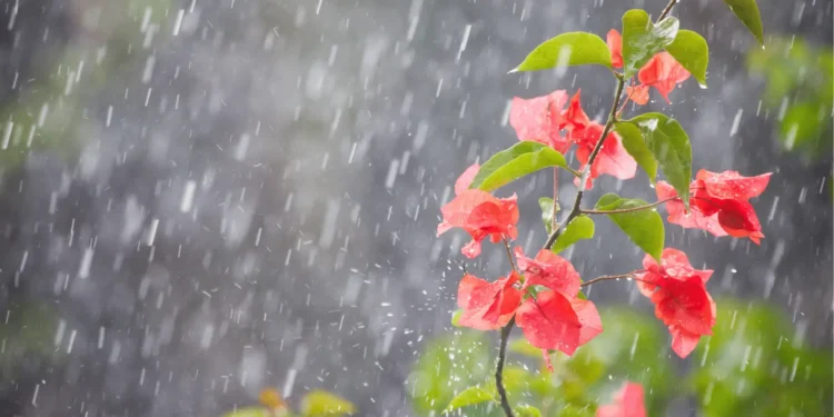 friozinho-continua-em-goiania,-mas-chuva-pode-voltar-nesta-sexta-(12)