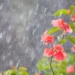 friozinho-continua-em-goiania,-mas-chuva-pode-voltar-nesta-sexta-(12)