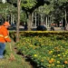 fim-da-escala-6×1-pode-custar-r$34,5-bilhoes-aos-municipios