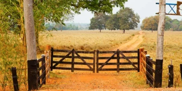 df-lanca-cep-digital-para-propriedades-rurais-e-amplia-acesso-a-servicos-no-campo