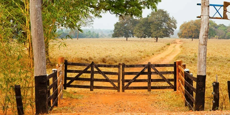 df-lanca-cep-digital-para-propriedades-rurais-e-amplia-acesso-a-servicos-no-campo