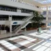 apos-17-anos,-tce-go-prepara-novo-concurso-para-tecnicos