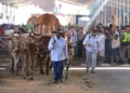 o-atraso:-era-do-trafego-pago,-goias-ainda-tem-trafego-de-carroca