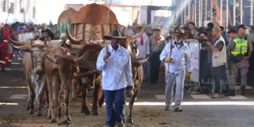 o-atraso:-era-do-trafego-pago,-goias-ainda-tem-trafego-de-carroca