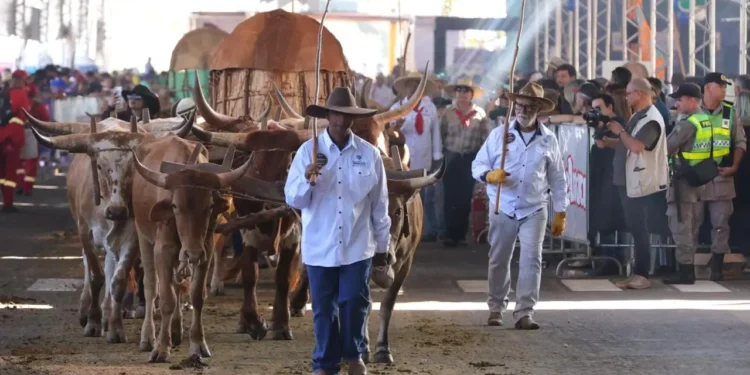 o-atraso:-era-do-trafego-pago,-goias-ainda-tem-trafego-de-carroca