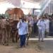 o-atraso:-era-do-trafego-pago,-goias-ainda-tem-trafego-de-carroca